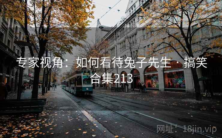 专家视角：如何看待兔子先生 · 搞笑合集213