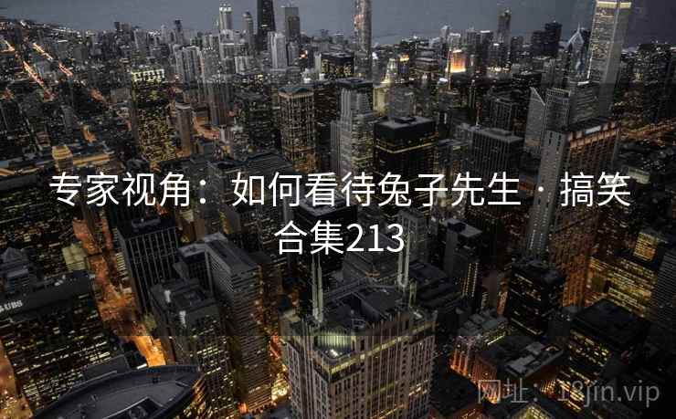 专家视角：如何看待兔子先生 · 搞笑合集213  第2张
