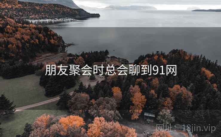 朋友聚会时总会聊到91网