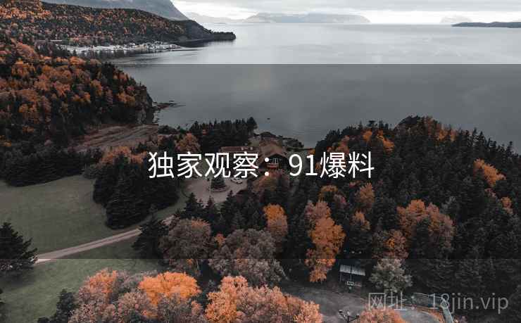 独家观察：91爆料