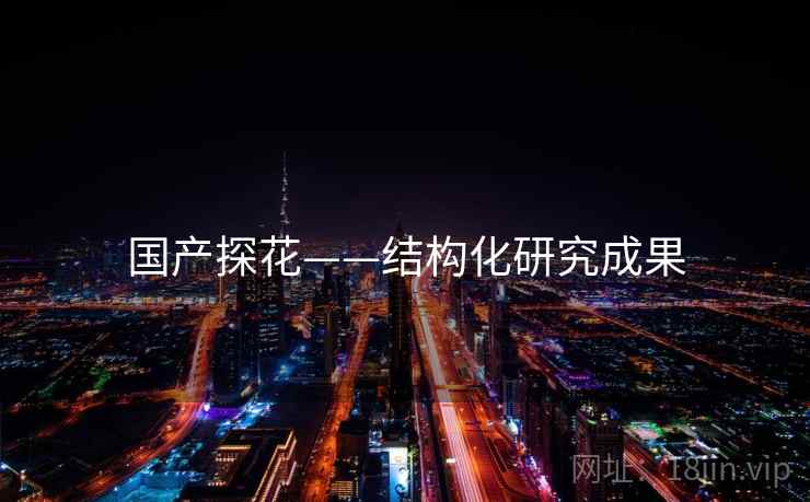 国产探花——结构化研究成果