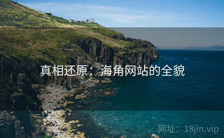 真相还原：海角网站的全貌
