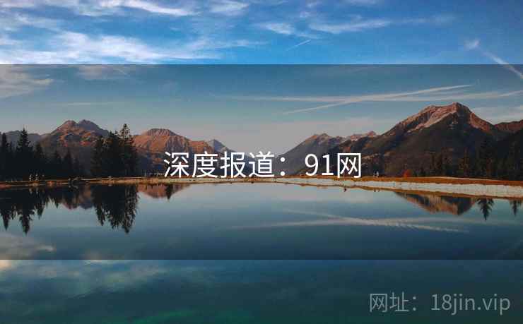 深度报道：91网