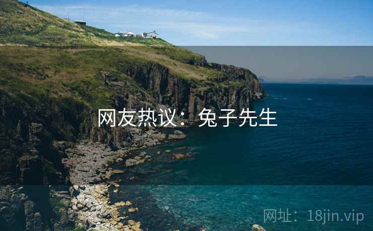 网友热议：兔子先生