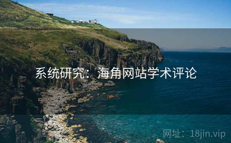 系统研究：海角网站学术评论