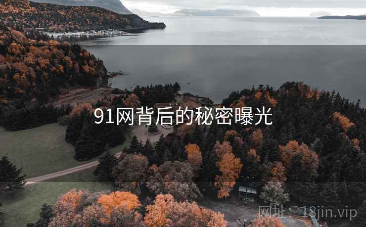91网背后的秘密曝光  第1张