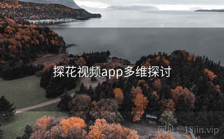 探花视频app多维探讨