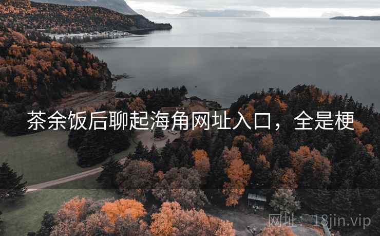 茶余饭后聊起海角网址入口,全是梗