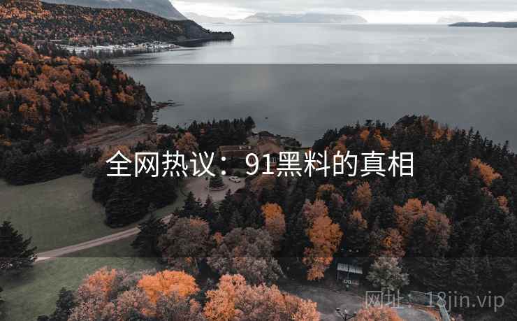 全网热议：91黑料的真相  第2张