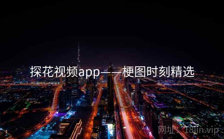 探花视频app——梗图时刻精选