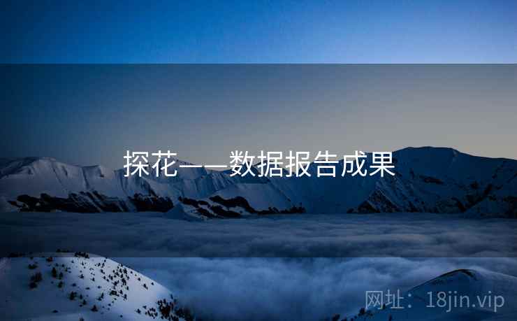 探花——数据报告成果