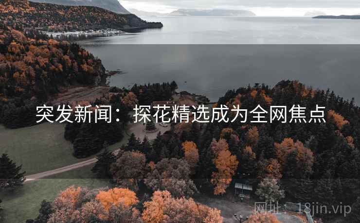 突发新闻：探花精选成为全网焦点